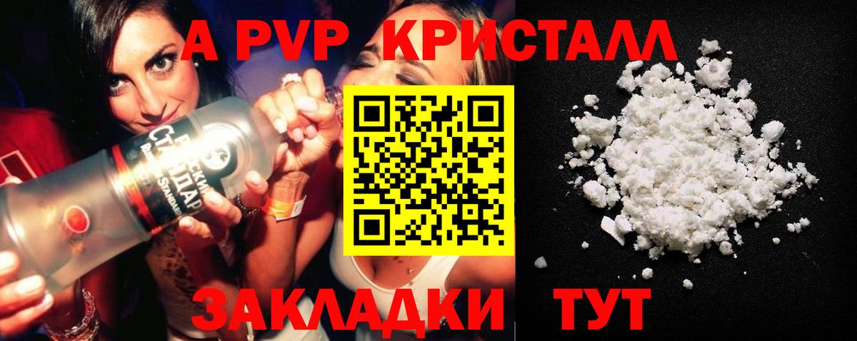 A PVP СК КРИС Новоалександровск